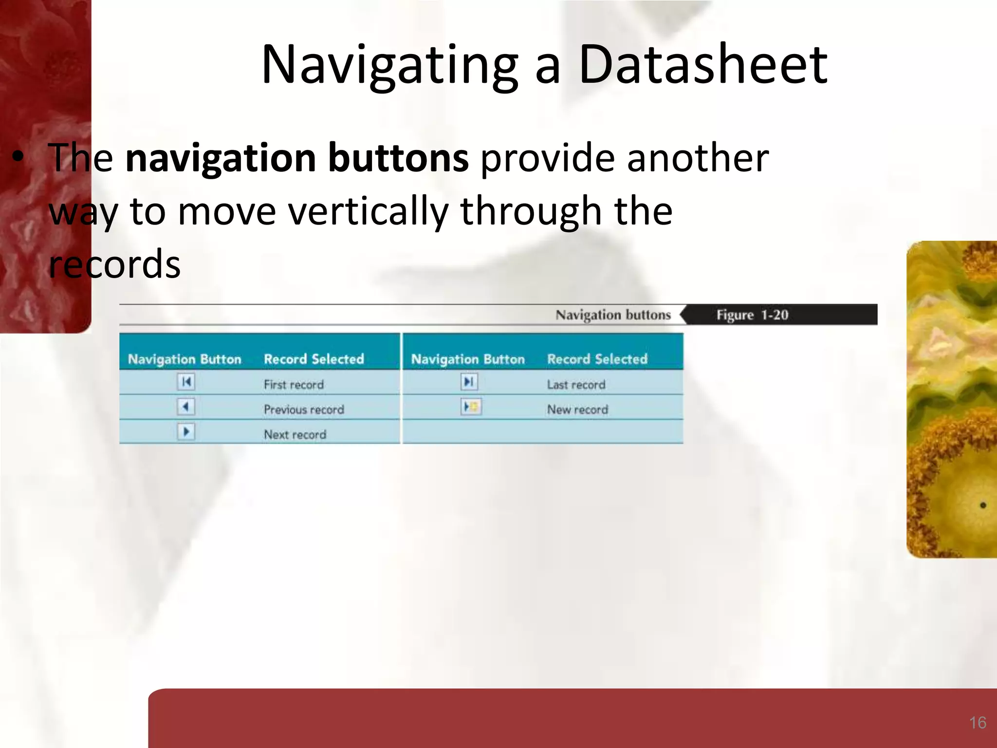 16
Navigating a Datasheet
• The navigation buttons provide another
way to move vertically through the
records
 