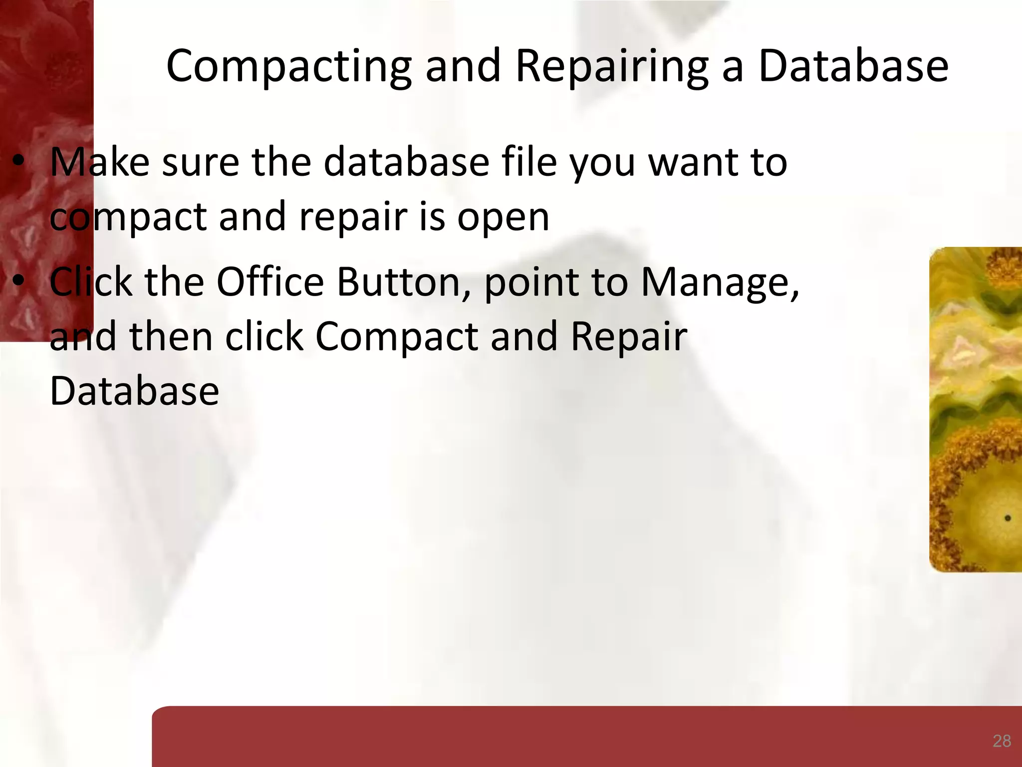 28
Compacting and Repairing a Database
• Make sure the database file you want to
compact and repair is open
• Click the Office Button, point to Manage,
and then click Compact and Repair
Database
 