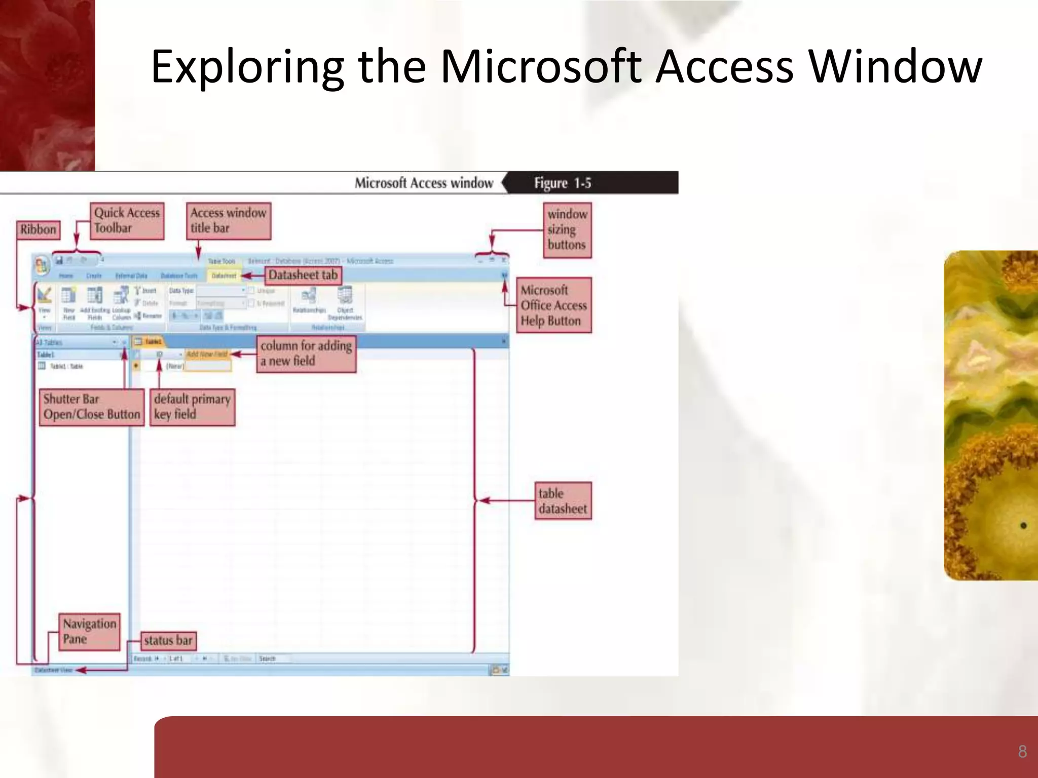 8
Exploring the Microsoft Access Window
 