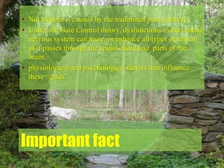 Important fact
• Not all pain is caused by the traditional pain pathway.
• Under the Gate Control theory, dysfunctions in the central
nervous system can mute, or enhance all types of stimuli
as it passes through the spinal chord and parts of the
brain.
• physiological and psychological factors that influence
these “gates”
 