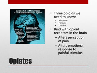 Opiates
• Three opioids we
need to know:
• Morphine
• Fentanyl
• Dilaudid
• Bind with opioid
receptors in the brain
– Alters perception
of pain
– Alters emotional
response to
painful stimulus
 