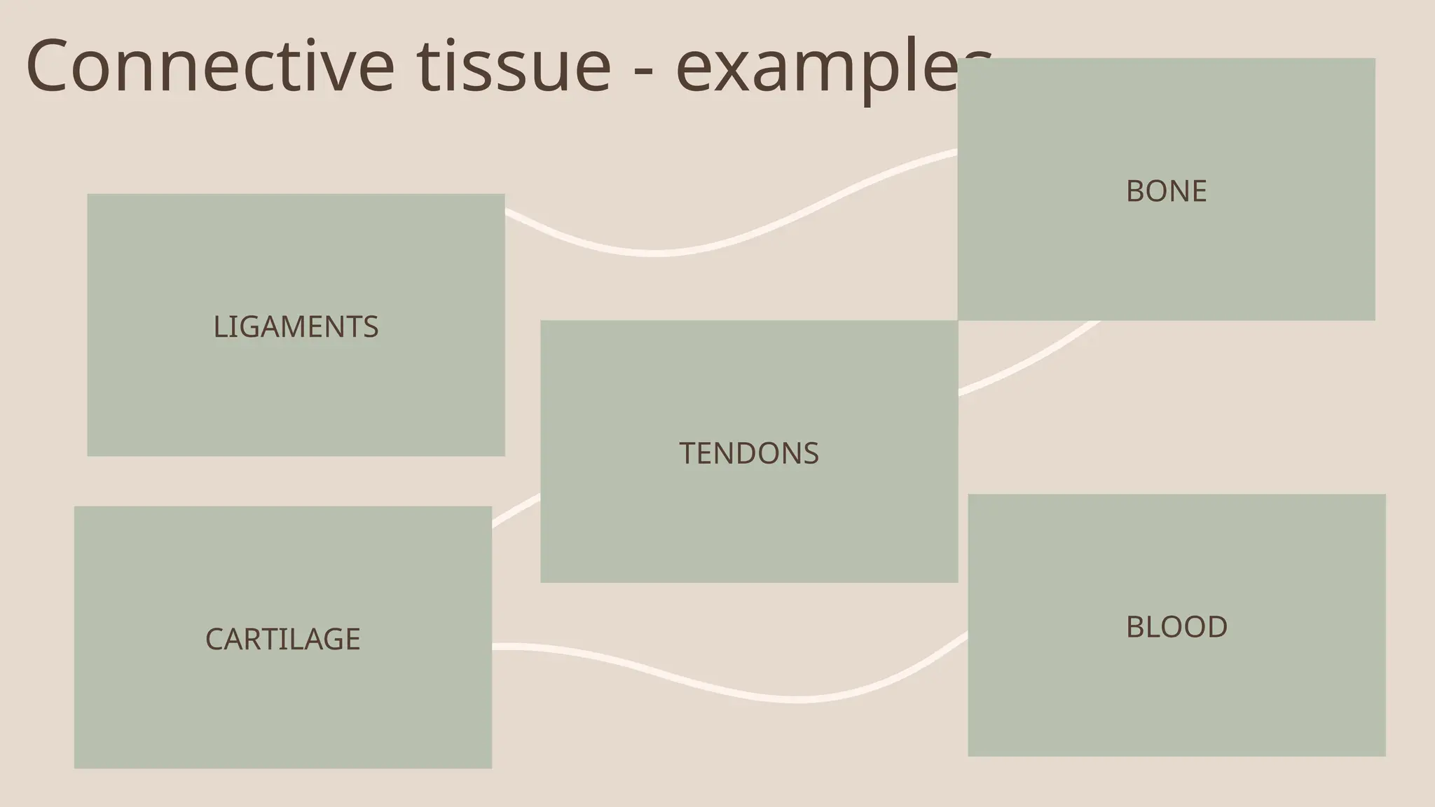 Connective tissue - examples
LIGAMENTS
BONE
TENDONS
CARTILAGE BLOOD
 