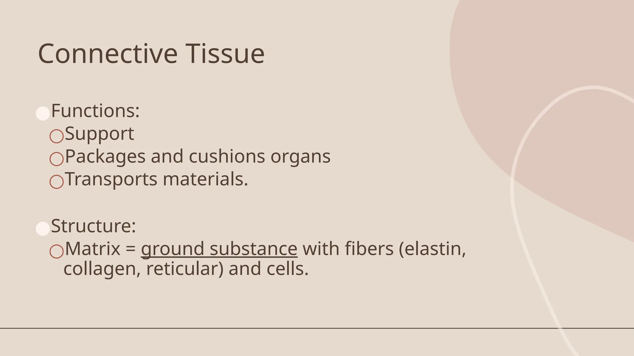 Connective Tissue
●Functions:
○Support
○Packages and cushions organs
○Transports materials.
●Structure:
○Matrix = ground substance with fibers (elastin,
collagen, reticular) and cells.
 