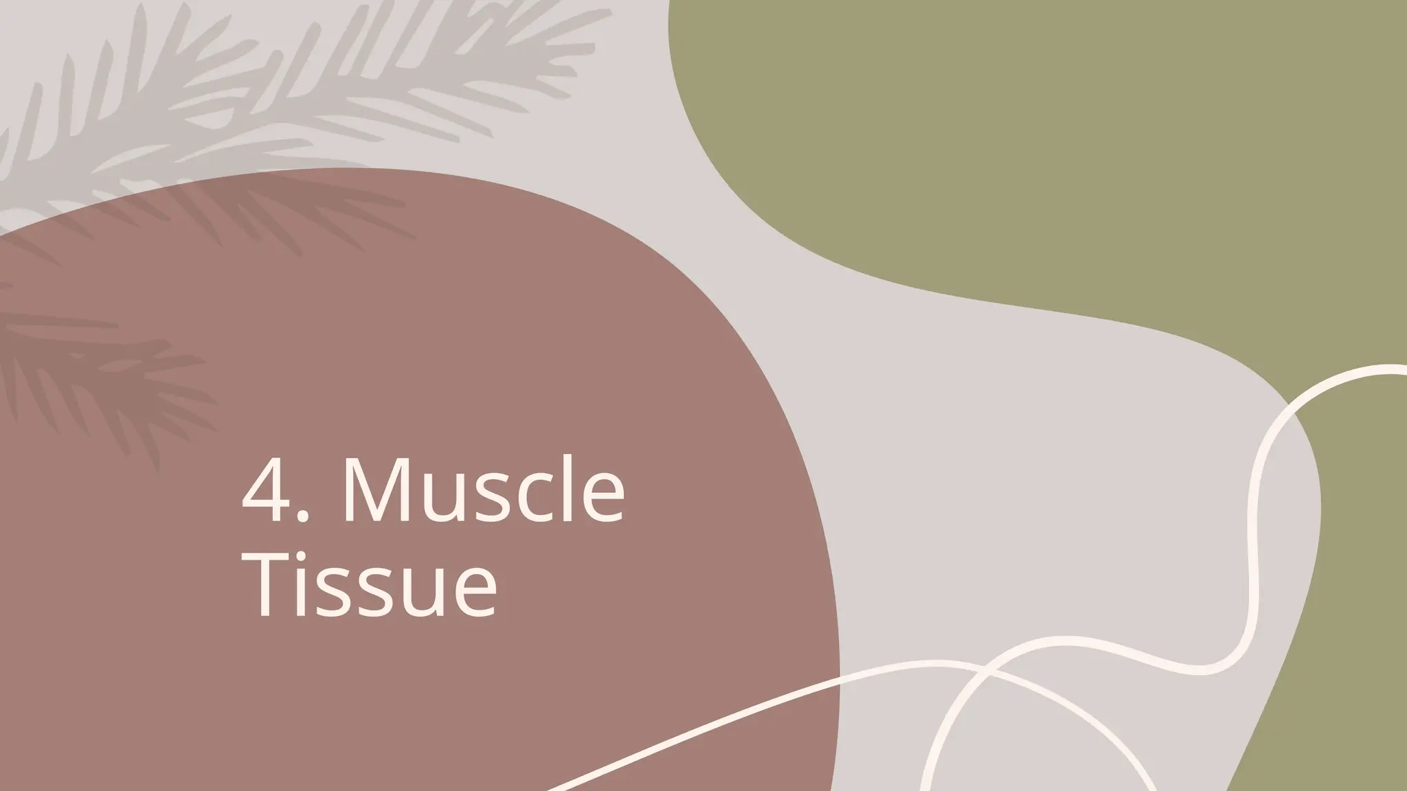 4. Muscle
Tissue
 
