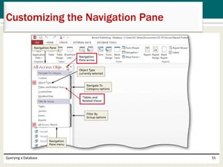Querying a Database 55
Customizing the Navigation Pane
 