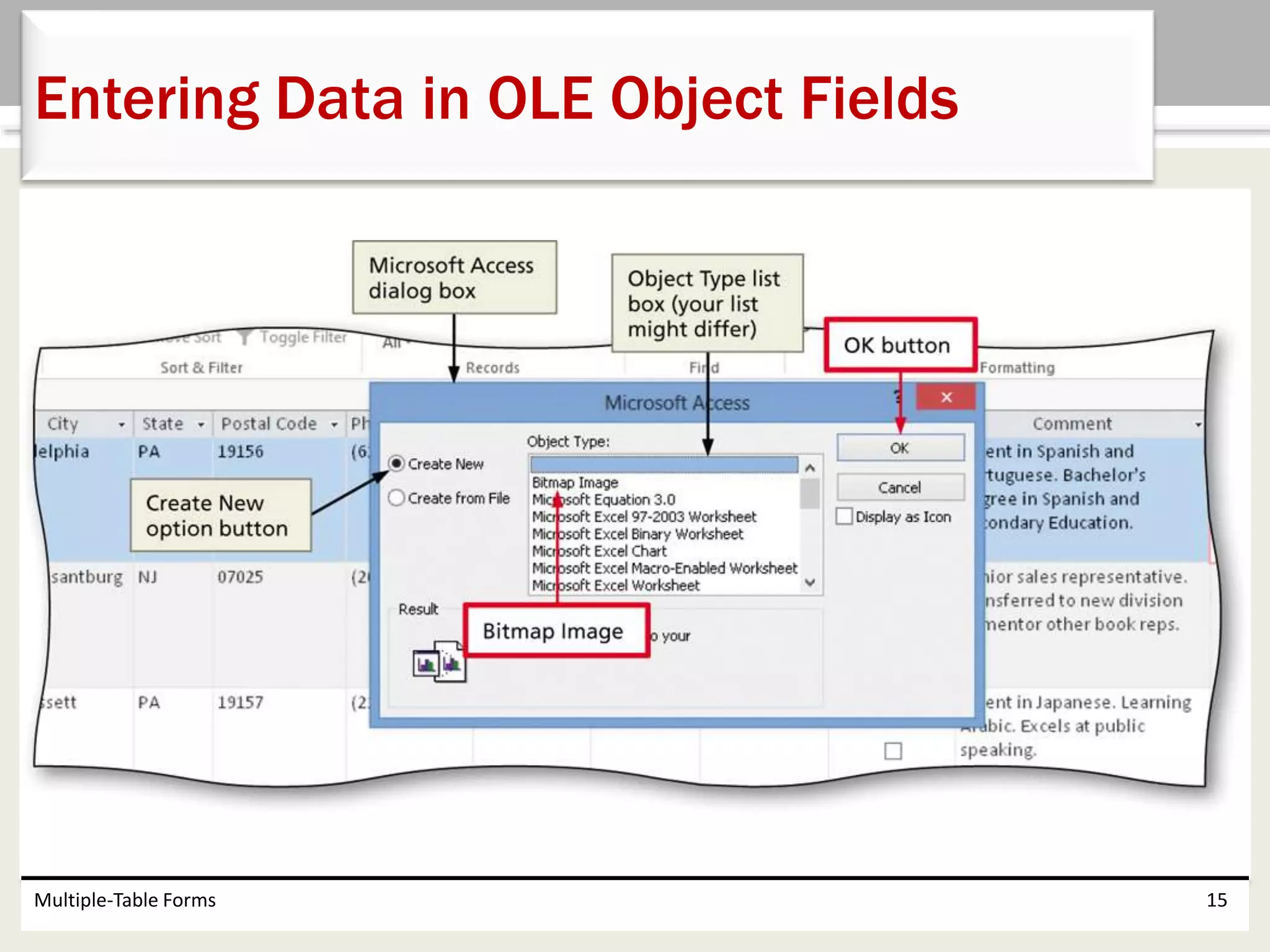 Multiple-Table Forms 15
Entering Data in OLE Object Fields
 