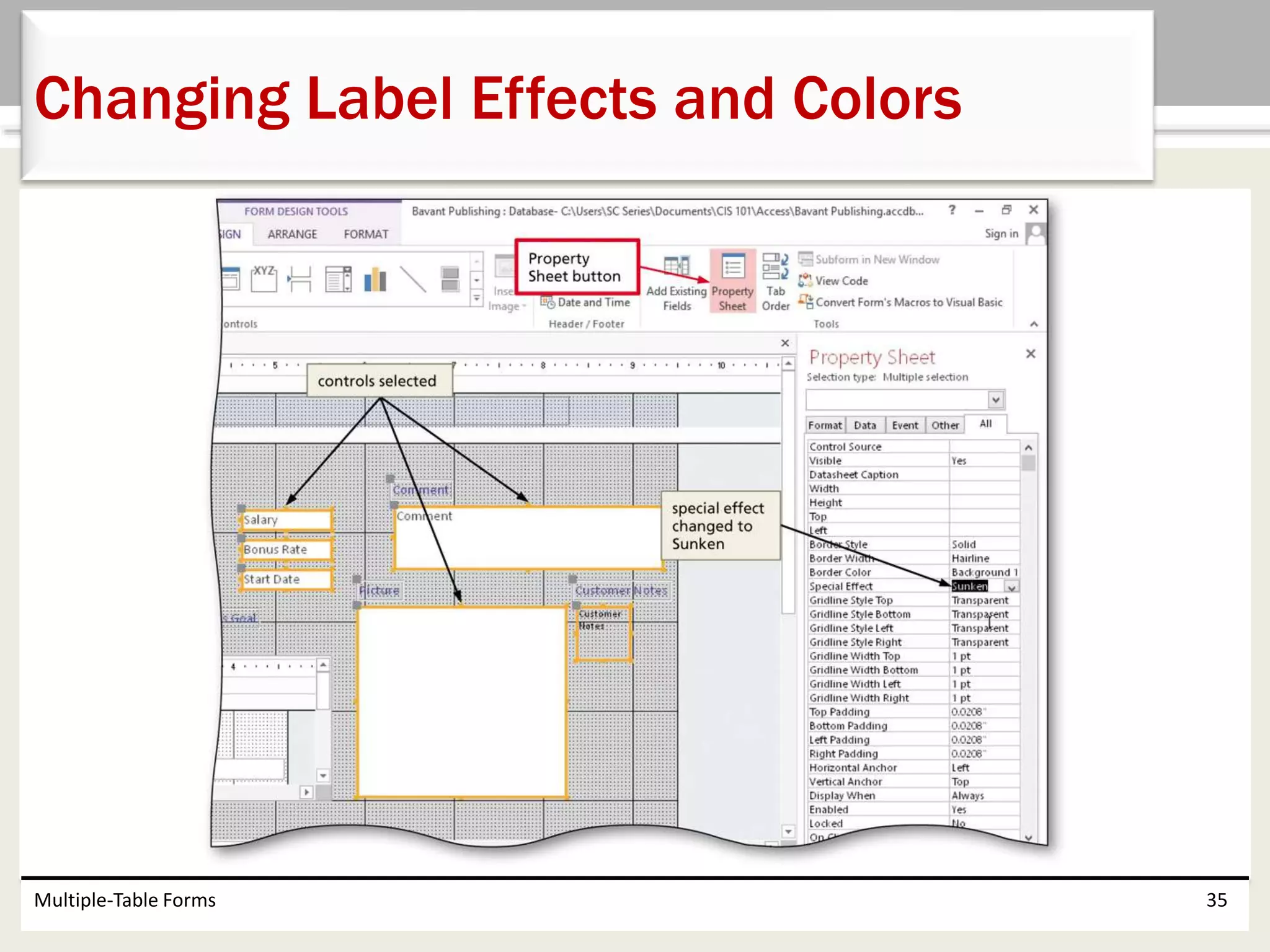 Multiple-Table Forms 35
Changing Label Effects and Colors
 