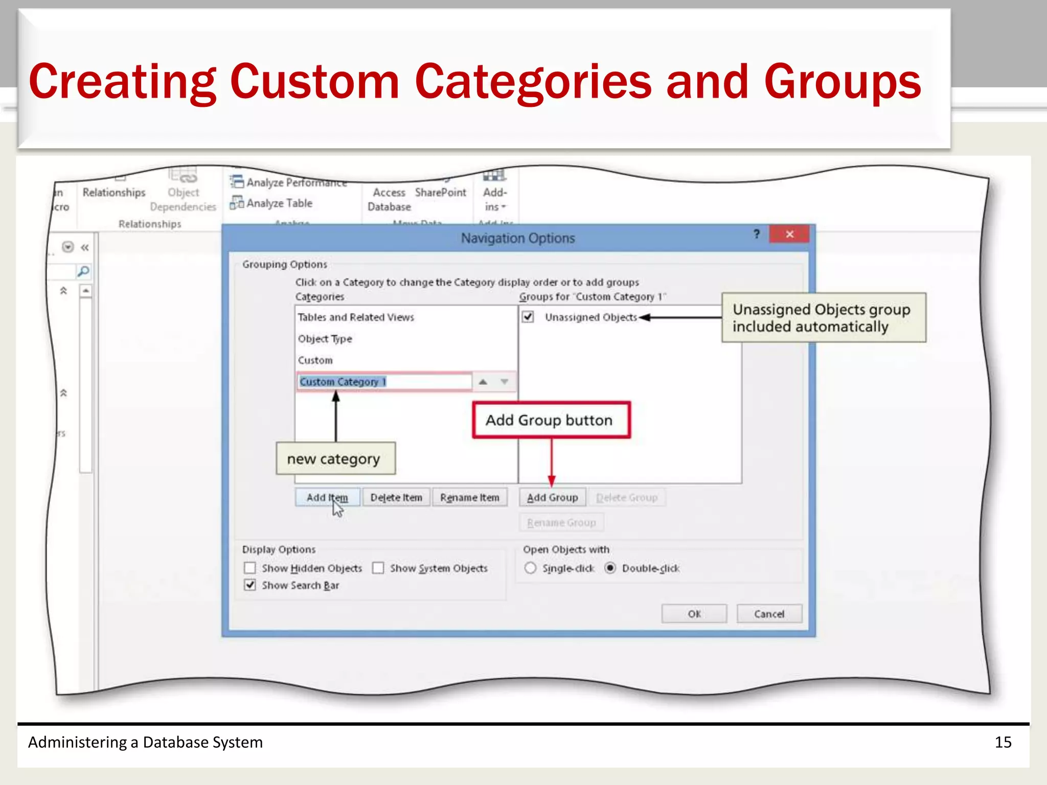 Administering a Database System 15
Creating Custom Categories and Groups
 