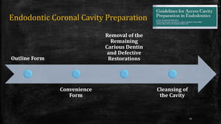 Endodontic Coronal Cavity Preparation
Outline Form
Convenience
Form
Removal of the
Remaining
Carious Dentin
and Defective
Restorations
Cleansing of
the Cavity
23
 