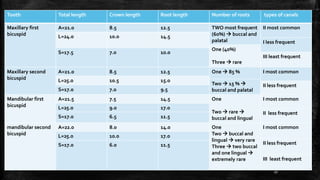 Tooth Total length Crown length Root length Number of roots types of canals
Maxillary first
bicuspid
A=21.0 8.5 12.5 TWO most frequent
(60%)  buccal and
palatal
II most common
L=24.0 10.0 14.5
I less frequent
One (40%)
Three  rare
S=17.5 7.0 10.0
III least frequent
Maxillary second
bicuspid
A=21.0 8.5 12.5 One  85 % I most common
L=25.0 10.5 15.0
Two  15 % 
buccal and palatal
II less frequent
S=17.0 7.0 9.5
Mandibular first
bicuspid
A=21.5 7.5 14.5 One
Two  rare 
buccal and lingual
I most common
L=25.0 9.0 17.0
II less frequent
S=17.0 6.5 11.5
mandibular second
bicuspid
A=22.0 8.0 14.0 One
Two  buccal and
lingual  very rare
Three  two buccal
and one lingual 
extremely rare
I most common
L=25.0 10.0 17.0
II less frequent
S=17.0 6.0 11.5
III least frequent
27
 