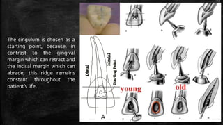 The cingulum is chosen as a
starting point, because, in
contrast to the gingival
margin which can retract and
the incisal margin which can
abrade, this ridge remains
constant throughout the
patient’s life.
36
 