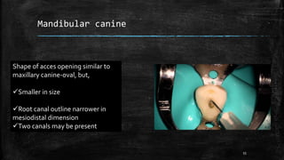 Mandibular canine
Shape of acces opening similar to
maxillary canine-oval, but,
Smaller in size
Root canal outline narrower in
mesiodistal dimension
Two canals may be present
55
 