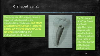 C shaped canal
The incidence of C-shaped canals is
reported to be highest in the
mandibular second molar.THE MAIN
ANATOMIC FEATURE OF C - SHAPED
CANALS ISTHE PRESENCE OF A FIN
ORWEB-connecting the
individual root canals.
The ‘‘C-shaped
canal’’ by Cooke
and Cox in
1979.This canal
shape results
from the fusion
of the mesial and
distal roots on
either the buccal
or the lingual
root surface.
68
 