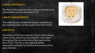 LAW OF CENTRALITY
The floor of the pulp chamber is always located at the
centre of the tooth at the level of CEJ
LAW OF CONCENTRICITY
The walls of pulp chamber are always concentric to
the external surface of the tooth at the level of CEJ
LAW OF CEJ
The distance from the external surface of the clinical
crown to the wall of the pulp chamber is the same
throughout the circumference of the tooth at the
level of CEJ.The CEJ is the most consistent,
repeatable landmark for locating the position of the
pulp chamber
7
 