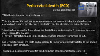 Pericervical dentin (PCD)
PCD is the dentin near the alveolar crest.
While the apex of the root can be amputated, and the coronal third of the clinical crown
removed and replaced prosthetically, the dentin near the alveolar crest is irreplaceable.
This critical zone, roughly 4 mm above the Crestal bone and extending 4 mm apical to crestal
bone, is sacred for 3 reasons:
(1) ferrule, (2) fracturing, and (3) dentin tubule Orifice proximity from inside to out.
long-term retention of the tooth and resistance to fracturing are directly related to the amount
of residual tooth structure.
This regional dentin is significant for the distribution of functional stresses in teeth
J Endod. 2003;29:523-528
86
 