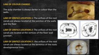 LAW OF COLOUR CHANGE :
The pulp chamber is always darker in colour than the
walls.
LAW OF ORIFICE LOCATION 1: The orifices of the root
canals are always located at the junction of the walls
and the floor
LAW OF ORIFICE LOCATION 2: The orifices of the root
canals are located at the vertices of the floor-wall
junction .
LAW OF ORIFICE LOCATION 3 : the orifices of the root
canals are always located at the terminus of the roots
developmental lines.
9
 