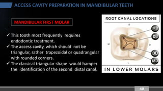 Principles of Endodontic Access Cavity Preparation: Mandibular Teeth | PDF