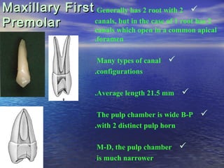 Maxillary First Generally has 2 root with 2 
Premolar       canals, but in the case of 1 root has 2
               canals...