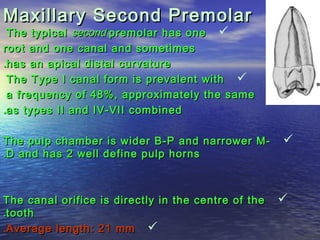Maxillary Second Premolar
 The typical second premolar has one 
root and one canal and sometimes
.has an apical distal cu...