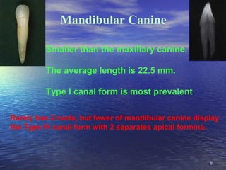 Mandibular Canine

         Smaller than the maxillary canine.

         The average length is 22.5 mm.

         Type I c...