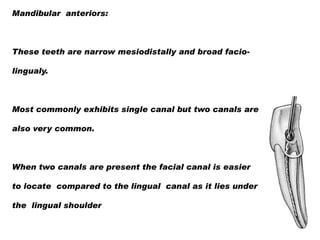 Mandibular anteriors:

These teeth are narrow mesiodistally and broad faciolingualy.

Most commonly exhibits single canal but two canals are
also very common.

When two canals are present the facial canal is easier
to locate compared to the lingual canal as it lies under
the lingual shoulder

 
