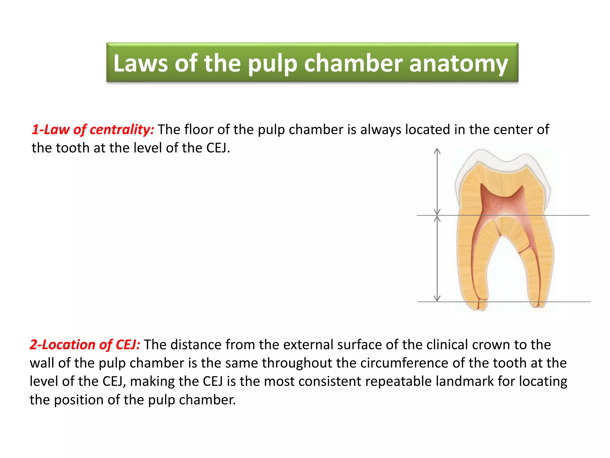1-Law of centrality: The floor of the pulp chamber is always located in the center of
the tooth at the level of the CEJ.
2-Location of CEJ: The distance from the external surface of the clinical crown to the
wall of the pulp chamber is the same throughout the circumference of the tooth at the
level of the CEJ, making the CEJ is the most consistent repeatable landmark for locating
the position of the pulp chamber.
Laws of the pulp chamber anatomy
 