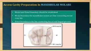 Access Cavity Preparation of anterior and posterior teeth | PPTX