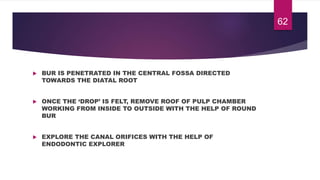  BUR IS PENETRATED IN THE CENTRAL FOSSA DIRECTED
TOWARDS THE DIATAL ROOT
 ONCE THE ‘DROP’ IS FELT, REMOVE ROOF OF PULP CHAMBER
WORKING FROM INSIDE TO OUTSIDE WITH THE HELP OF ROUND
BUR
 EXPLORE THE CANAL ORIFICES WITH THE HELP OF
ENDODONTIC EXPLORER
62
 