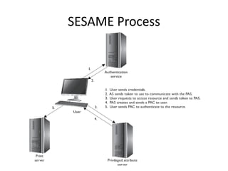 SESAME Process
 
