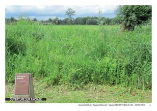 OUVERTURE SUR PAYSAGE
                        Accessibilité des Espaces Naturels - Sylvain DELBOY /CAUE de l’Ain - 23/06/2011   41
 