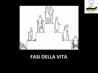 FASI DELLA VITA
 