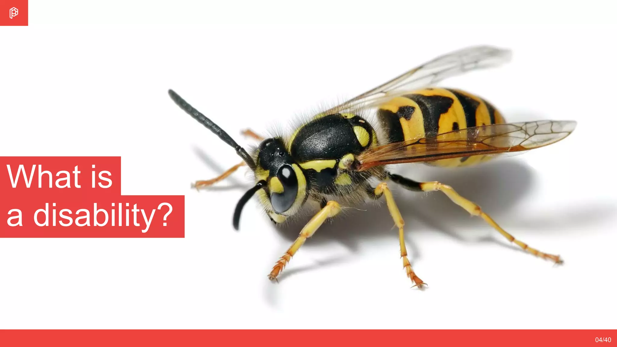 04/40
What is
a disability?
 