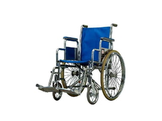 Accessibility In Government   Wsg   Nov 2007
