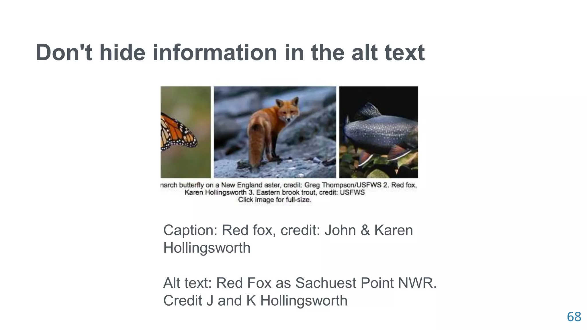 68
Don't hide information in the alt text
Caption: Red fox, credit: John & Karen
Hollingsworth
Alt text: Red Fox as Sachuest Point NWR.
Credit J and K Hollingsworth
 