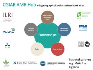 Accessibility of antibiotics in low-income countries