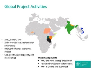 Accessibility of antibiotics in low-income countries