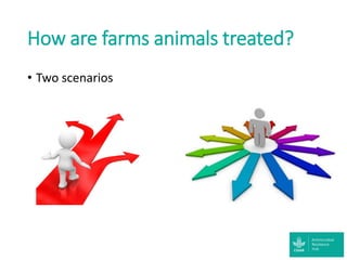 Accessibility of antibiotics in low-income countries