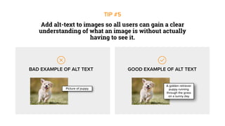Picture of puppy
A golden retriever
puppy running
through the grass
on a sunny day
BAD EXAMPLE OF ALT TEXT GOOD EXAMPLE OF ALT TEXT
Add alt-text to images so all users can gain a clear
understanding of what an image is without actually
having to see it.
TIP #5
 