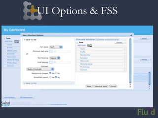 UI Options & FSS
 
