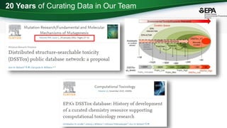 20 Years of Curating Data in Our Team
 