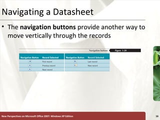 XPNavigating a Datasheet
• The navigation buttons provide another way to
move vertically through the records
New Perspectives on Microsoft Office 2007: Windows XP Edition 16
 