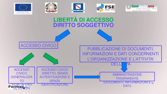 Differenza Tra Accesso Civico Semplice E Generalizzato FOIA - Accesso civico generalizzato