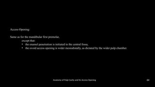 access opening & anatomy of root canalss | PPTX