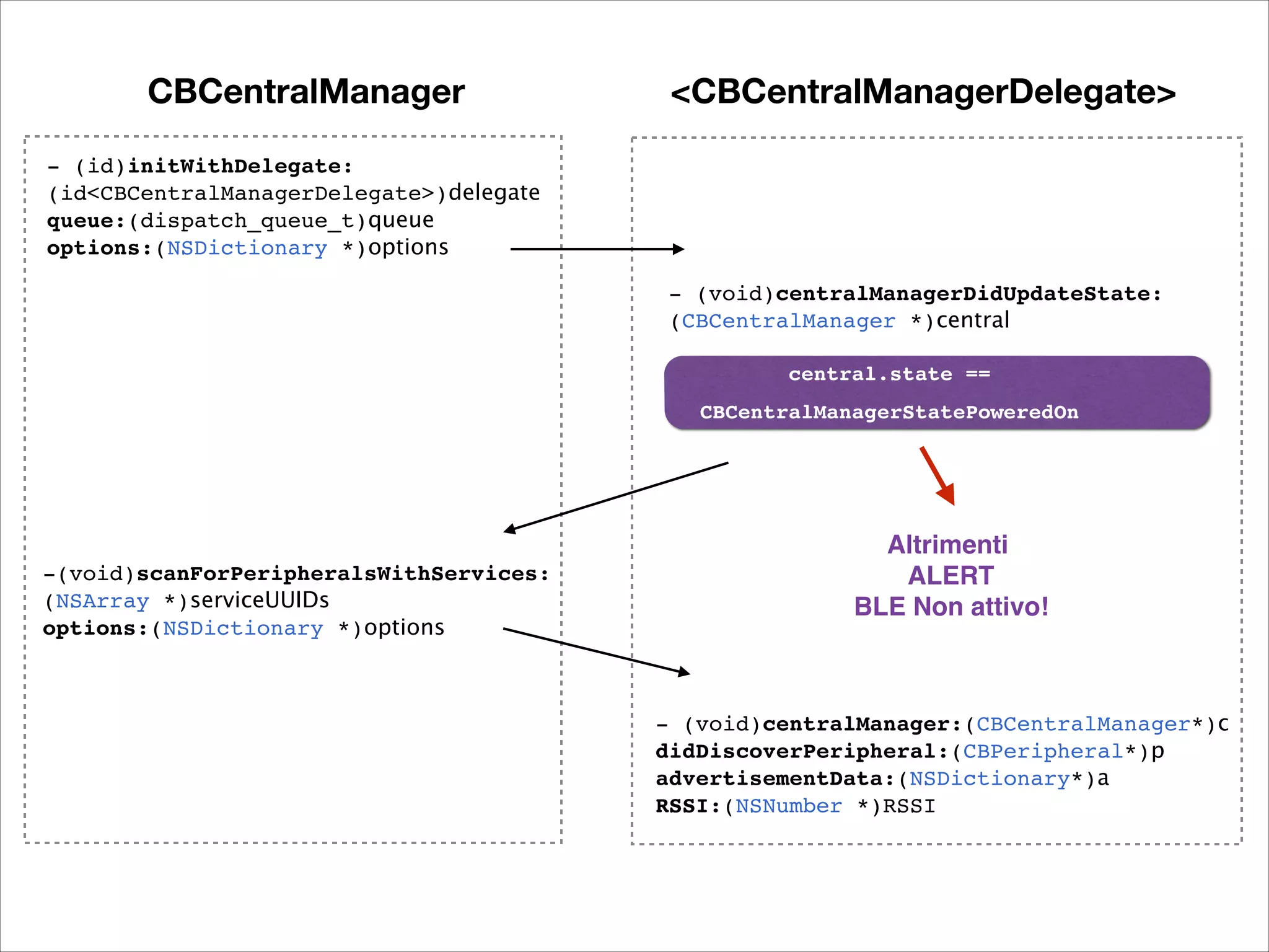 CBCentralManager

<CBCentralManagerDelegate>

- (id)initWithDelegate:!
(id<CBCentralManagerDelegate>)delegate !
queue:(dispatch_queue_t)queue !
options:(NSDictionary *)options
- (void)centralManagerDidUpdateState:!
(CBCentralManager *)central
central.state == !
CBCentralManagerStatePoweredOn

-(void)scanForPeripheralsWithServices:!
(NSArray *)serviceUUIDs !
options:(NSDictionary *)options

Altrimenti 
ALERT 
BLE Non attivo!!

- (void)centralManager:(CBCentralManager*)c !
didDiscoverPeripheral:(CBPeripheral*)p  
advertisementData:(NSDictionary*)a 
RSSI:(NSNumber *)RSSI

 