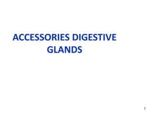 1
ACCESSORIES DIGESTIVE
GLANDS
 