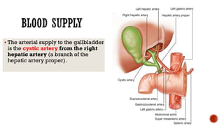  The arterial supply to the gallbladder
is the cystic artery from the right
hepatic artery (a branch of the
hepatic artery proper).
 