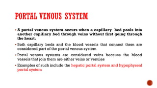 PORTAL VENOUS SYSTEM
 A portal venous system occurs when a capillary bed pools into
another capillary bed through veins without first going through
the heart.
 Both capillary beds and the blood vessels that connect them are
considered part of the portal venous system
 Portal venous systems are considered veins because the blood
vessels that join them are either veins or venules
 Examples of such include the hepatic portal system and hypophyseal
portal system
 