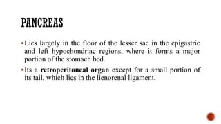 PANCREAS
Lies largely in the floor of the lesser sac in the epigastric
and left hypochondriac regions, where it forms a major
portion of the stomach bed.
Its a retroperitoneal organ except for a small portion of
its tail, which lies in the lienorenal ligament.
 