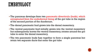 EMBRYOLOGY
 The pancreas develops from two pancreatic diverticula (buds), which
envaginated from the endodermal lining of the gut tube in the region
of the second portion of the duodenum.
 The dorsal pancreatic bud grows into the dorsal mesentery.
 The ventral pancreatic bud initially grows into the ventral mesentery
but subsequently leaves the ventral mesentery, rotates around the gut
tube to enter the dorsal mesentery.
 The two pancreatic buds fuse together to form a single pancreas but
retain two separate ducts that enter the gut tube
 