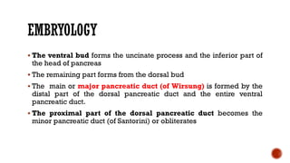 EMBRYOLOGY
 The ventral bud forms the uncinate process and the inferior part of
the head of pancreas
 The remaining part forms from the dorsal bud
 The main or major pancreatic duct (of Wirsung) is formed by the
distal part of the dorsal pancreatic duct and the entire ventral
pancreatic duct.
 The proximal part of the dorsal pancreatic duct becomes the
minor pancreatic duct (of Santorini) or obliterates
 